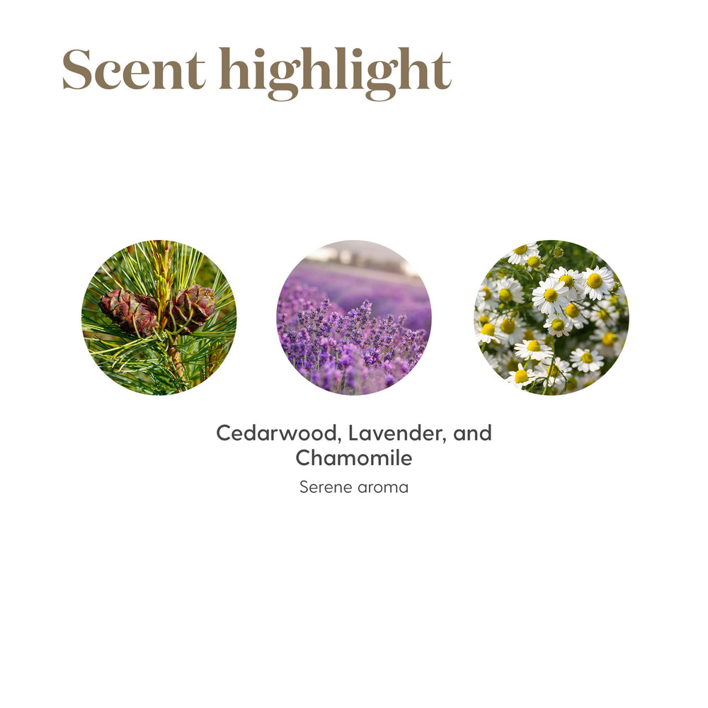 Young Living Tranquil Roll-On glass container with soft label for mindful moments.