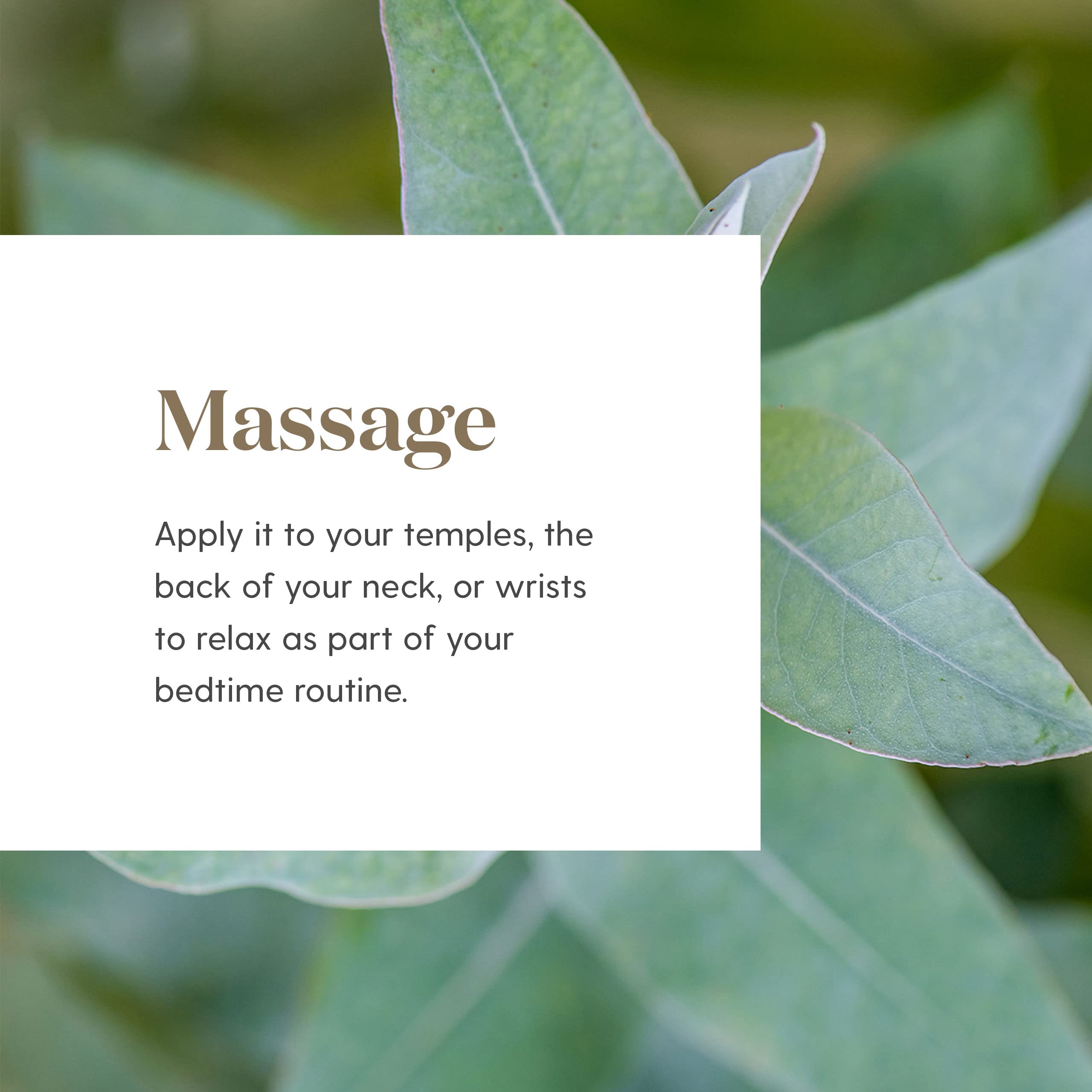 Young Living Tranquil Roll-On vial over wood texture for portable calm.