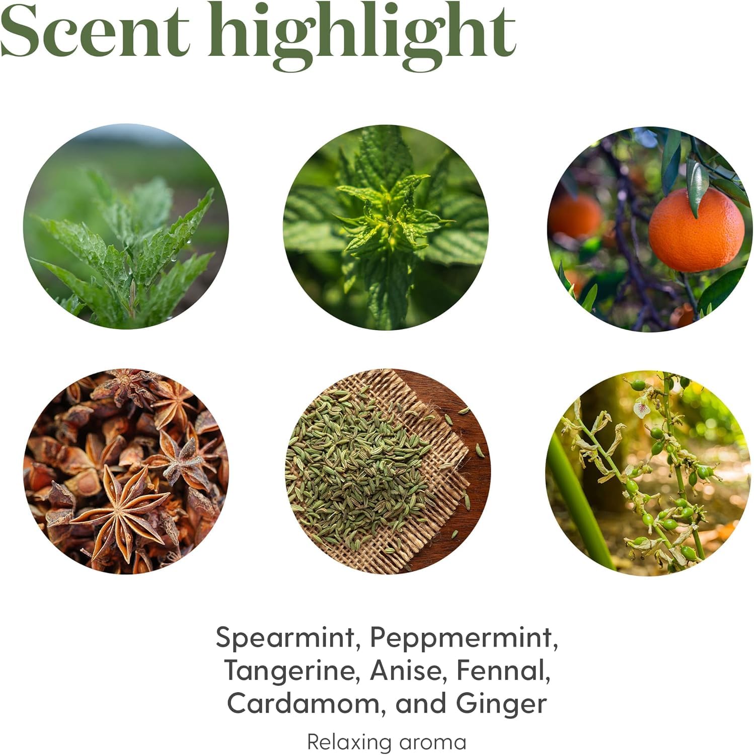 Young Living TummyGize close-up of ginger-peppermint-tangerine blend for natural tummy comfort