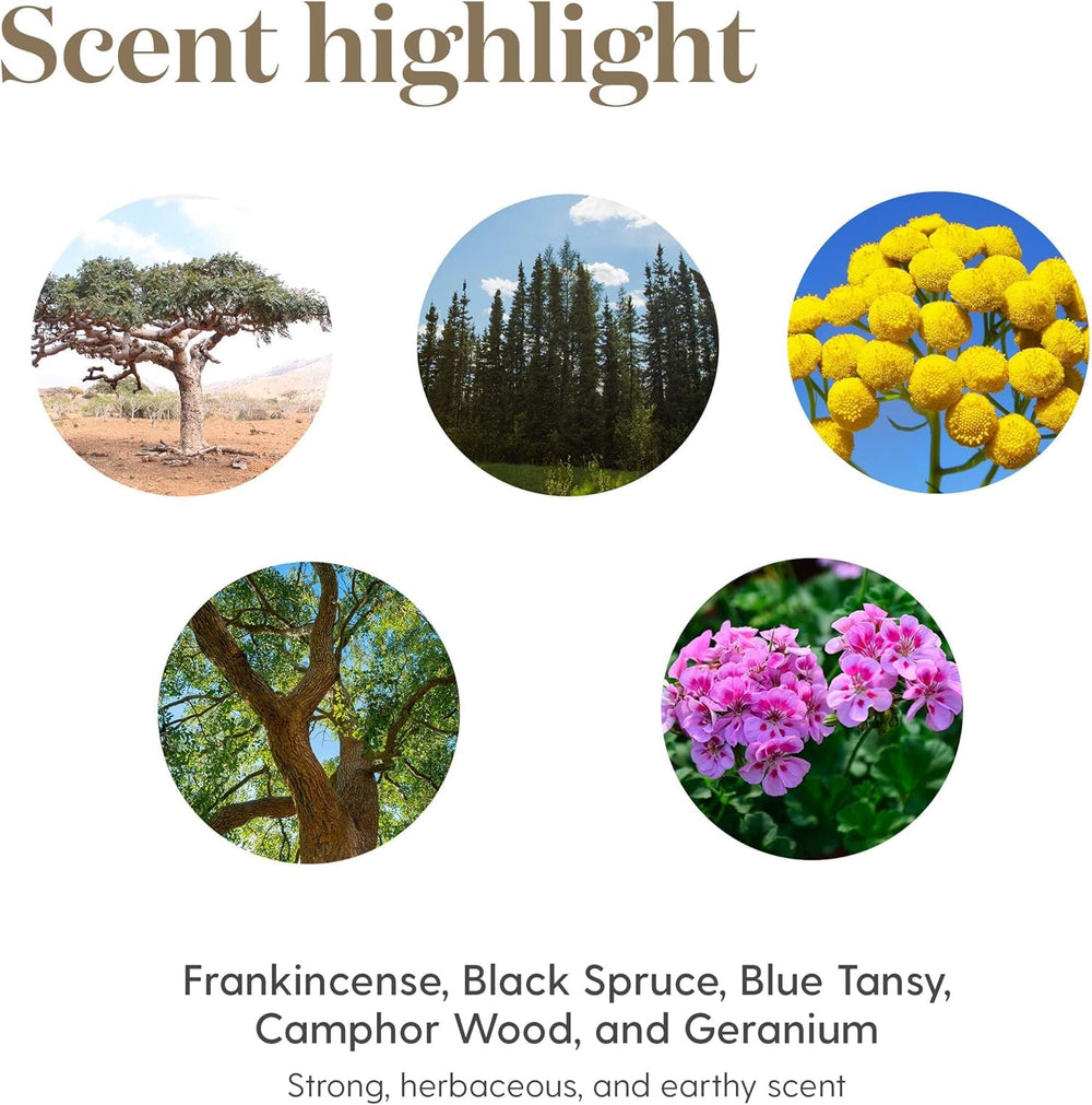 Young Living Valor geranium scent invites balanced emotions for day-to-day tasks.