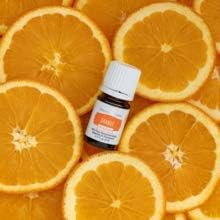 Pouring Young Living Vitality Orange Oil drops to flavor beverages and desserts.