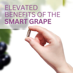 Packaging box shows USA origin and purity of Muscadine grape seed
