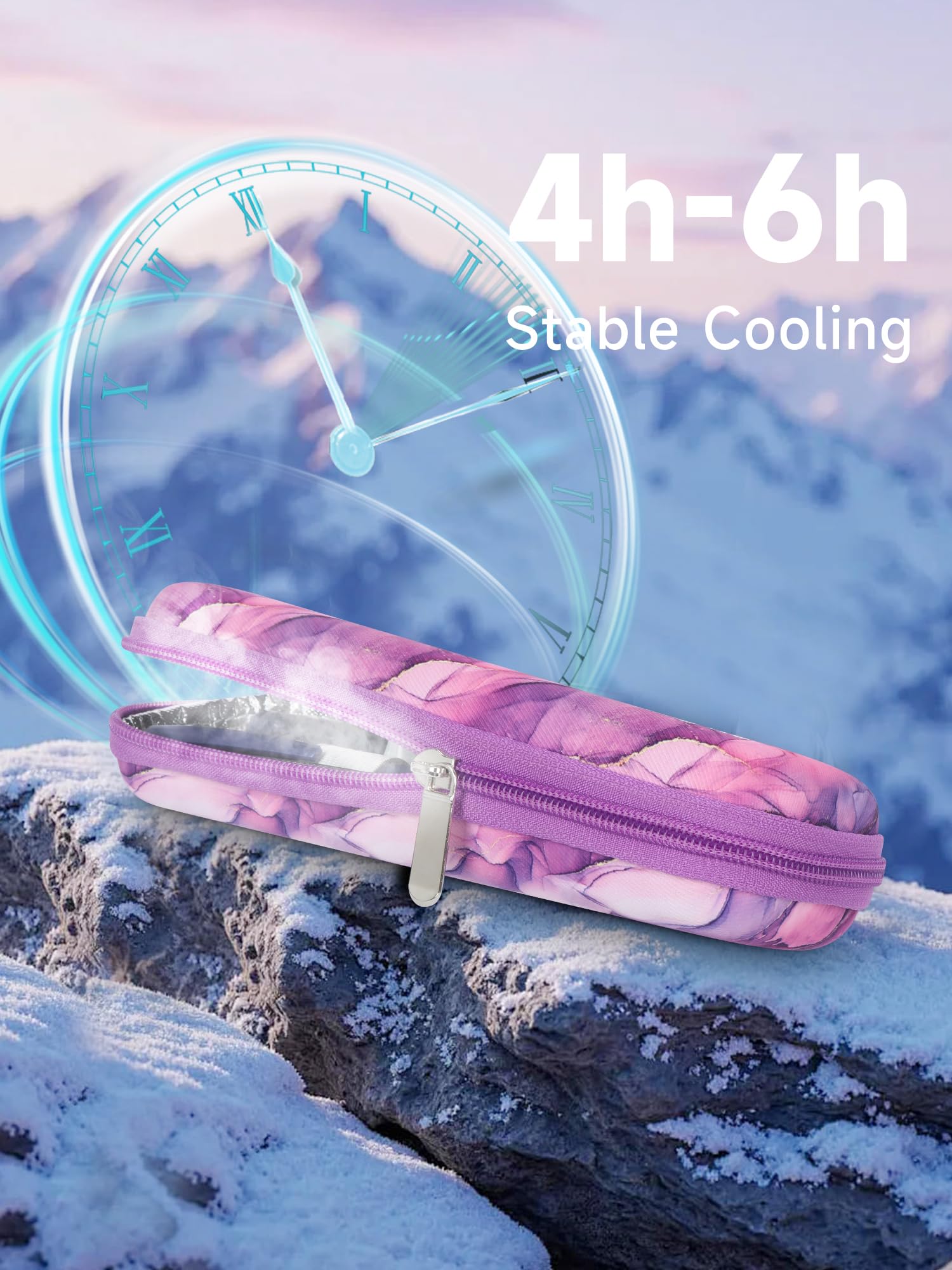 YOUSHARES case with two reusable ice packs for cooling.