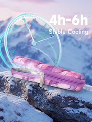 YOUSHARES case with two reusable ice packs for cooling.