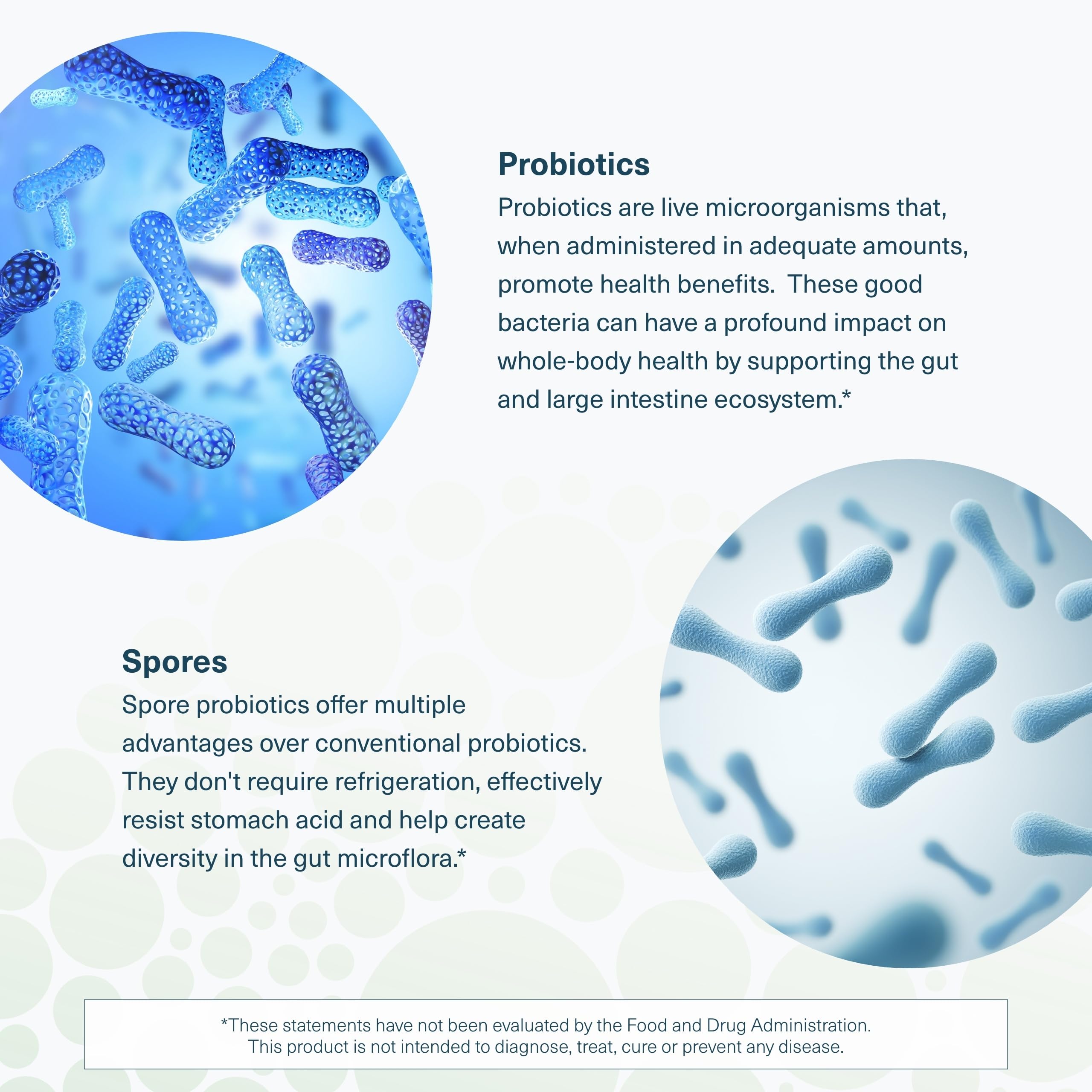 Youtheory Spore Probiotic dairy-free, gluten-free, vegan friendly label