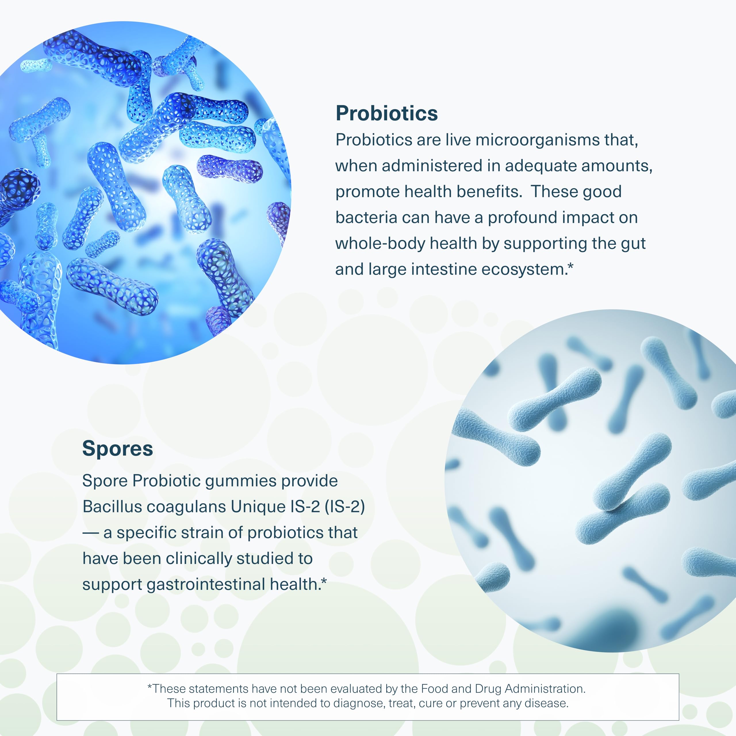 Youtheory Spore Probiotic Gummies ingredient panel shows prebiotics and quality checks.