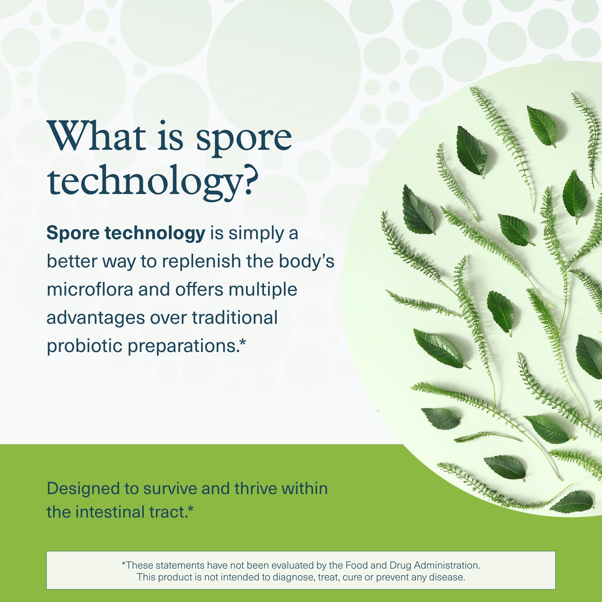 Youtheory Spore Probiotic ingredients list highlights prebiotics