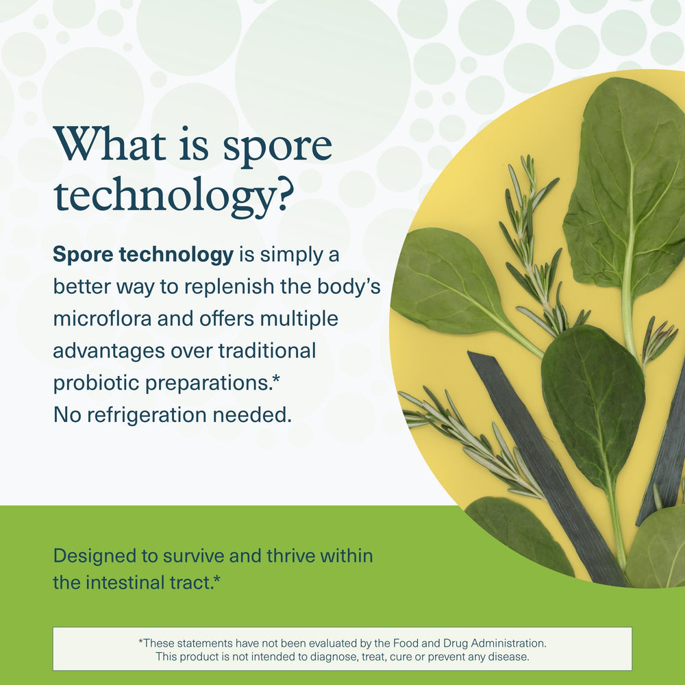 Youtheory Spore Probiotic Powder stirred into a smoothie for convenience.