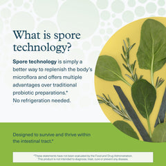 Youtheory Spore Probiotic Powder stirred into a smoothie for convenience.