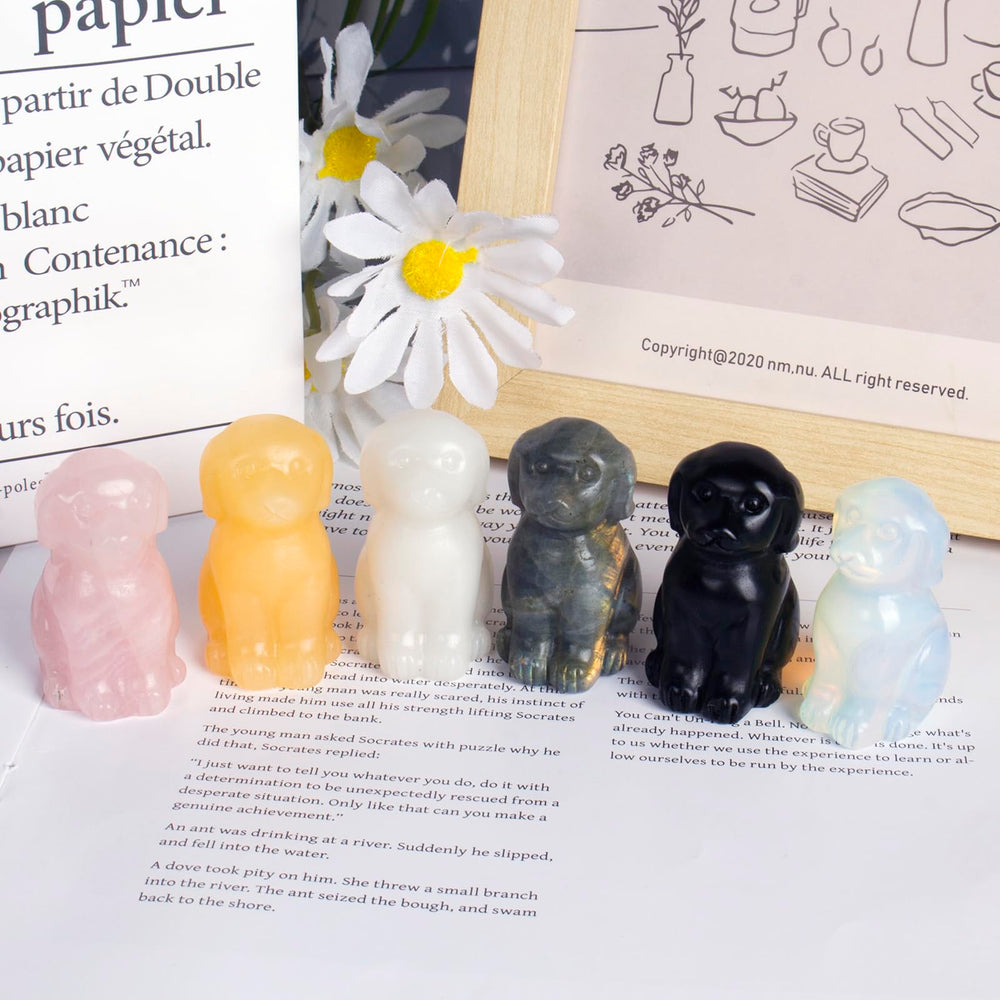 Ytbeoxk dog crystal decor for home or office.