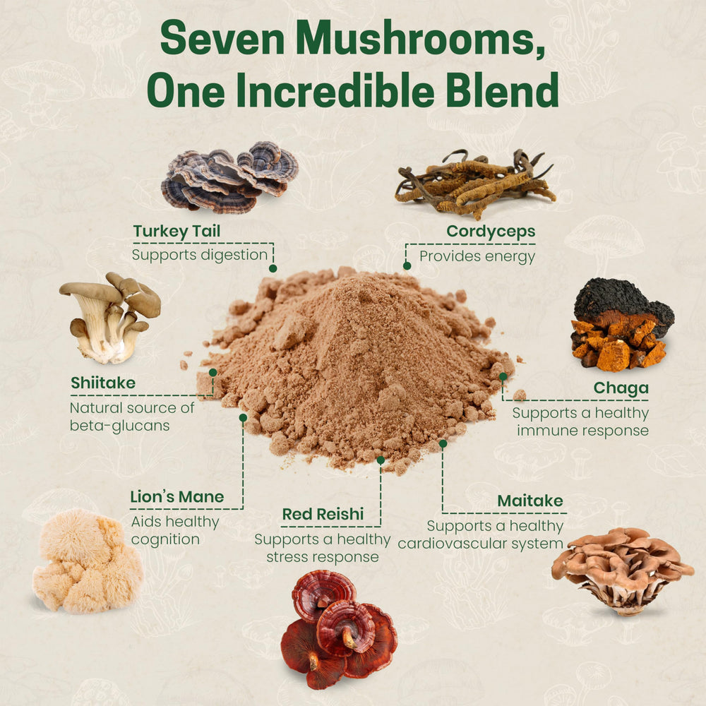 Z Natural Foods organic mushrooms collection featuring Lions Mane and friends.