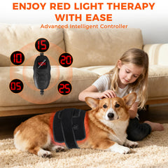 ZAEXAE home therapy session showing easy setup and pet care convenience