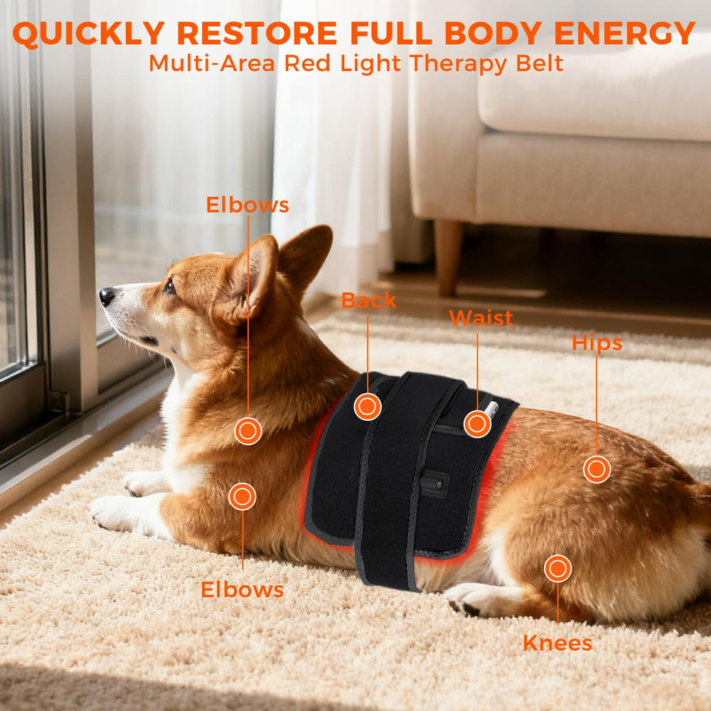 ZAEXAE wrap-around belt on back and shoulders for versatile relief