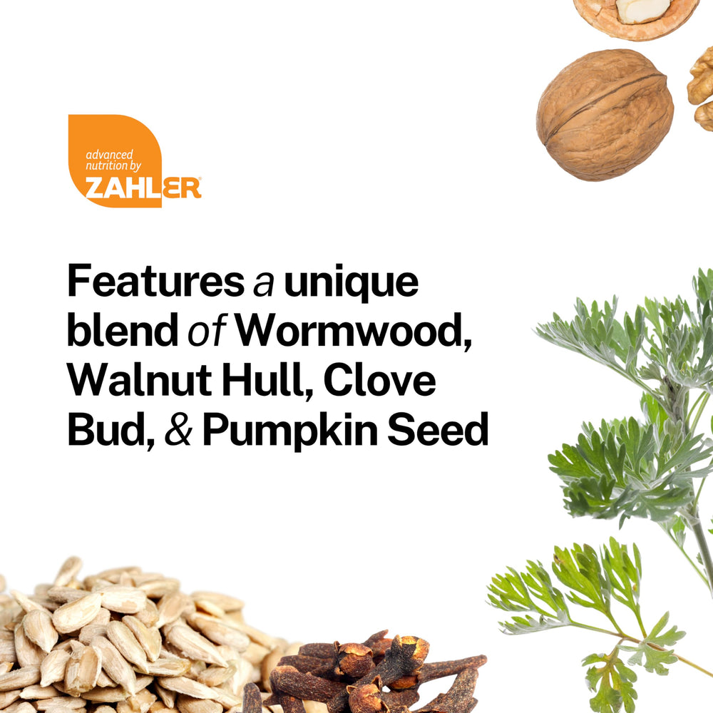 Close-up of pumpkin seeds and peppermint to reflect gut health support