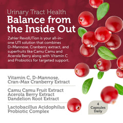 Zahler RevolUTion probiotic Lactobacillus acidophilus capsules for a balanced microbiome.