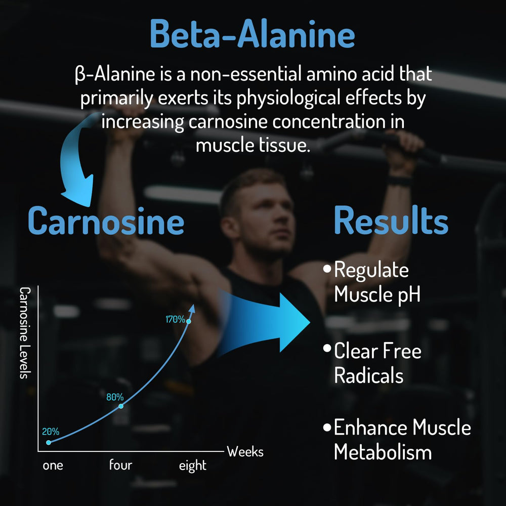 Zaigon beta alanine 2000mg packaging signaling clean professional-grade supplement