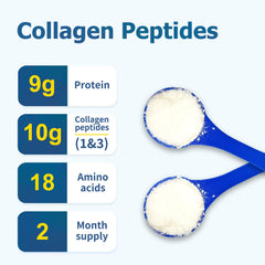 Zammex collagen peptides dissolving in water demonstrates quick mixability.