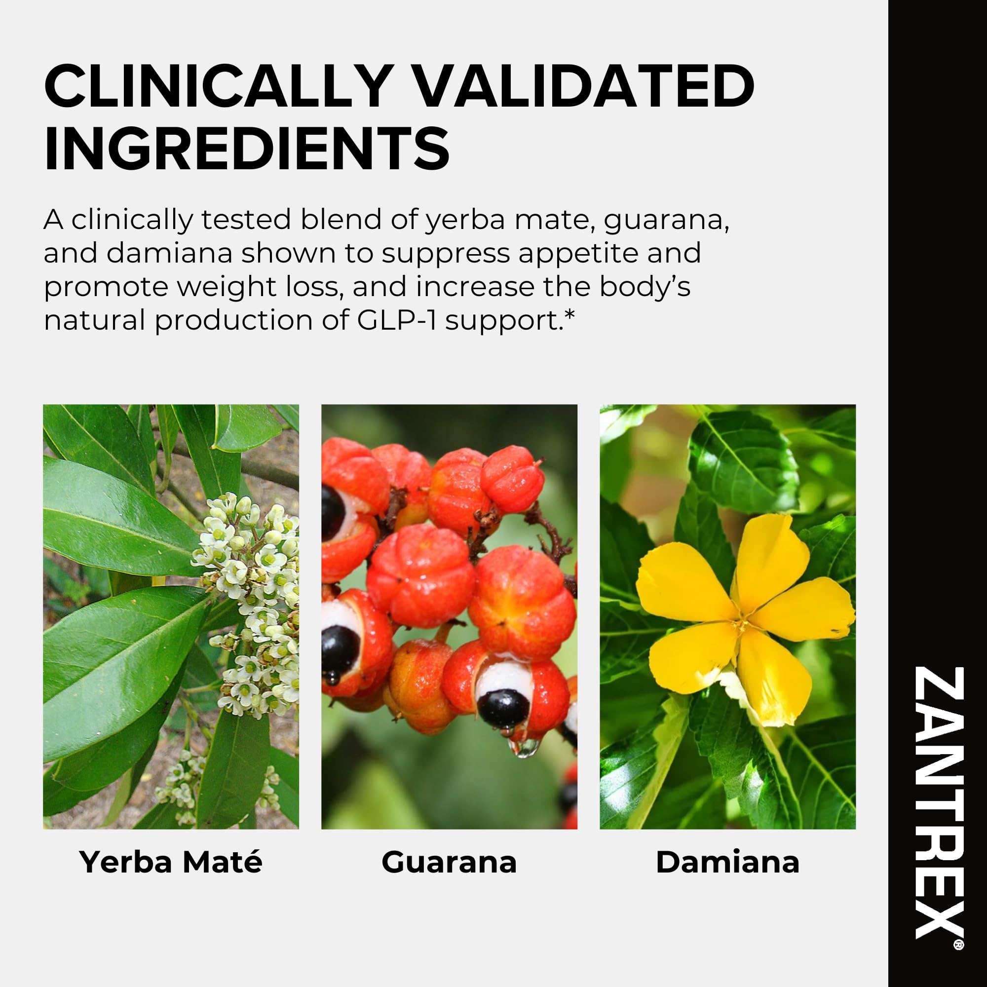 Zantrex Black 300mg caffeine depiction hints at steady focus and alertness.