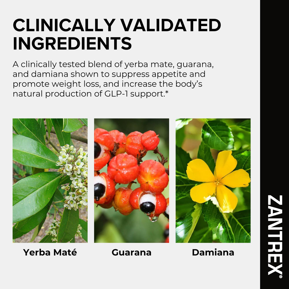 Zantrex Black 300mg caffeine depiction hints at steady focus and alertness.