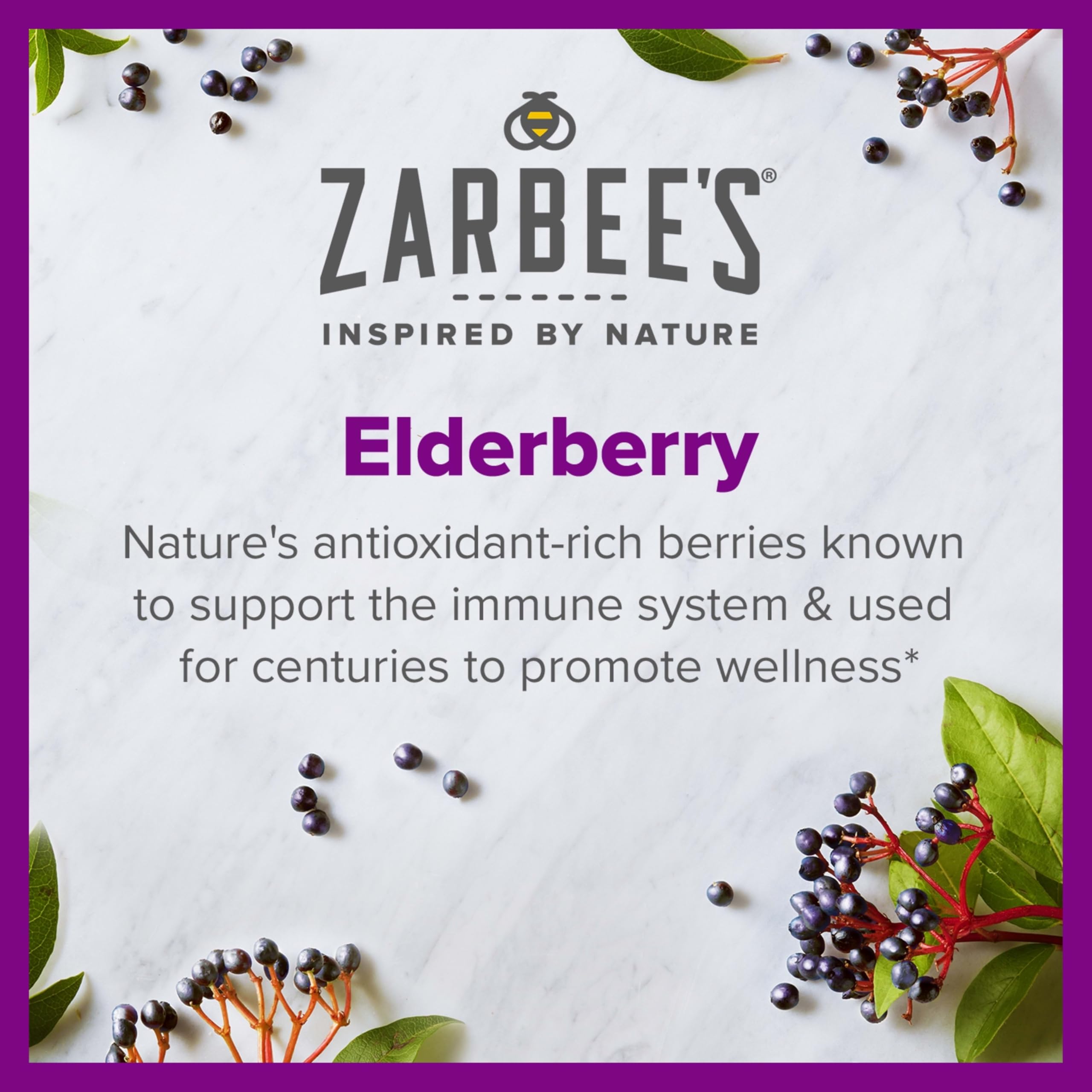 Illustration of Zarbee's Daily Immune Support ingredients inspired by nature.