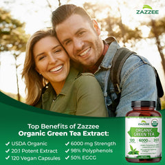 Zazzee 20:1 extract visual shows concentrated green tea formula.