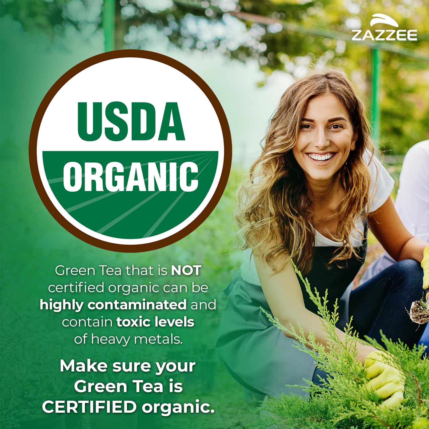 Zazzee 6000mg capsule pack emphasizes high potency green tea.
