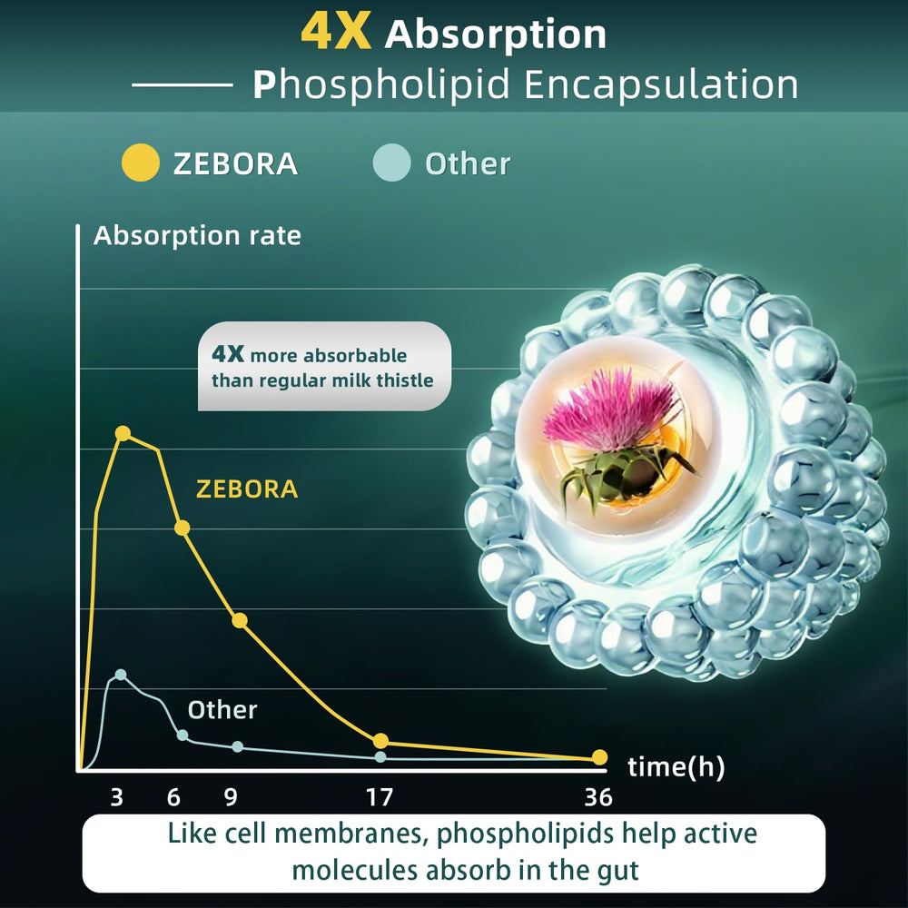ZEBORA amino acids NAC and glutathione illustrating detox support