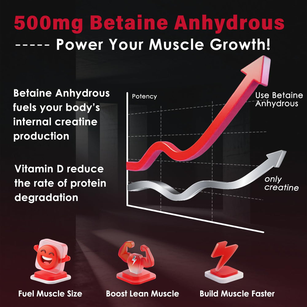 ZEBORA ATP replenishment helps maintain energy stores during training sessions.