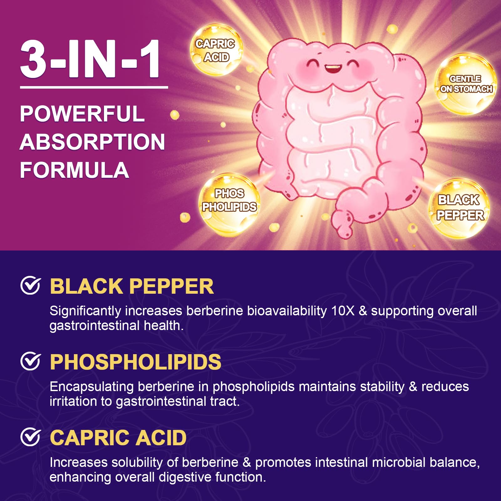 ZEBORA capric acid and piperine improve berberine absorption.