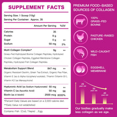 ZEBORA collagen-types closeup highlights Types I–V–X for comprehensive joint and skin support.