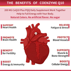 ZEBORA CoQ10 with PQQ and black pepper blend for absorption enhancement