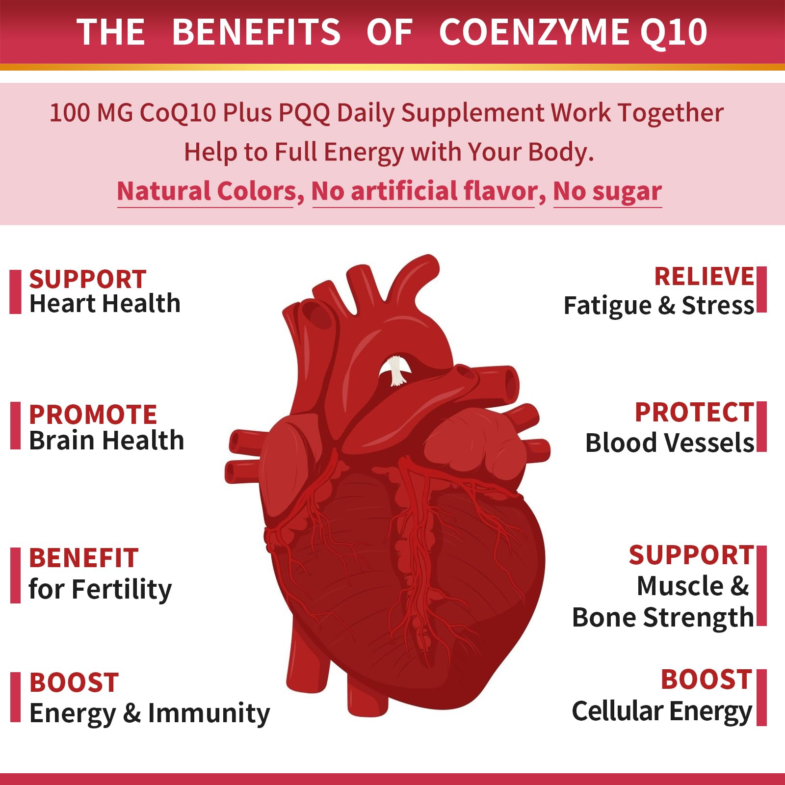 ZEBORA CoQ10 with black pepper extract boosts absorption and antioxidant potential