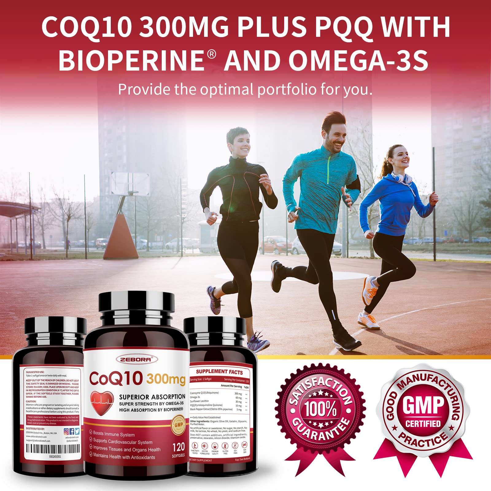 ZEBORA CoQ10 ingredients with sunflower lecithin and black pepper for absorption