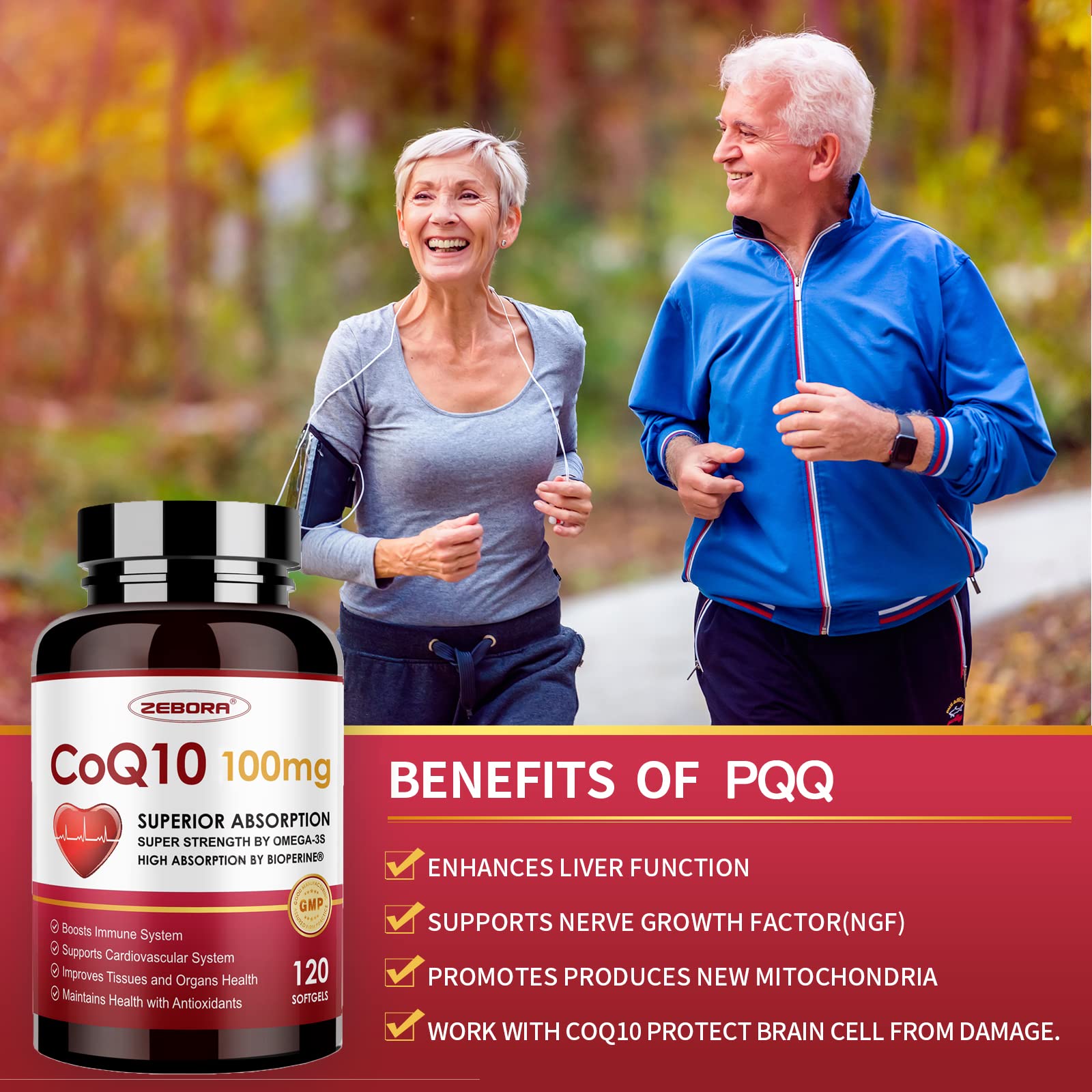 ZEBORA CoQ10 featuring sunflower lecithin supports healthy cell membranes