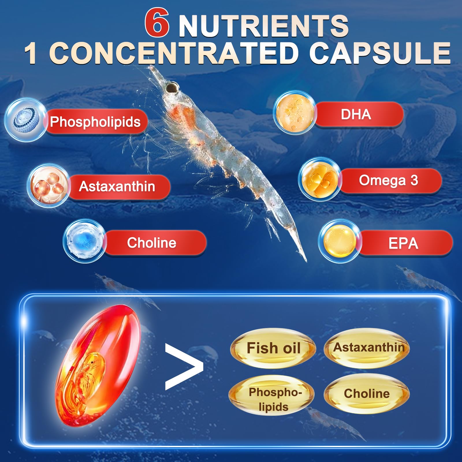 Joint comfort potential with ZEBORA Krill Oil and phospholipids.