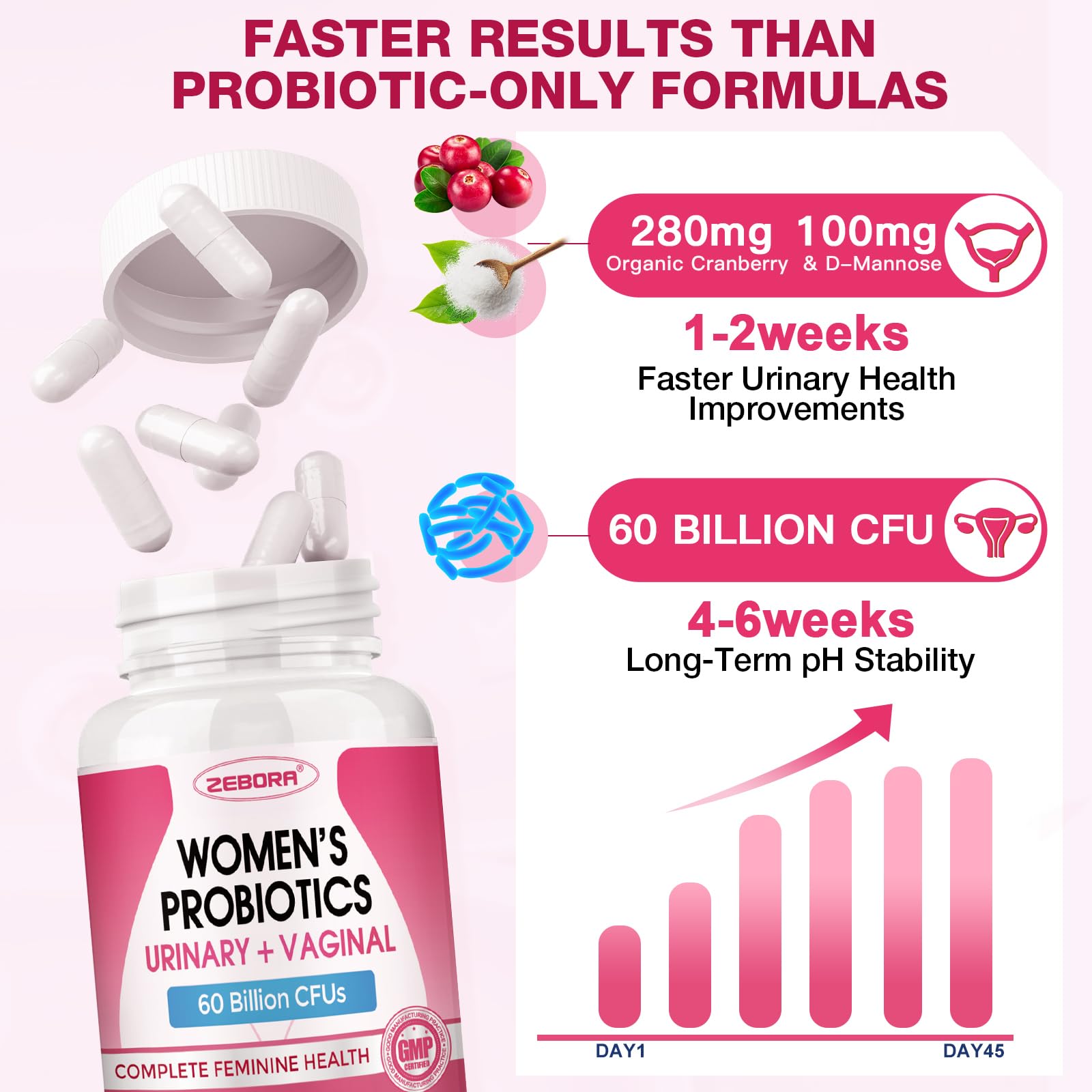 ZEBORA Organic prebiotics label illustrating gut-friendly fiber and probiotic synergy.