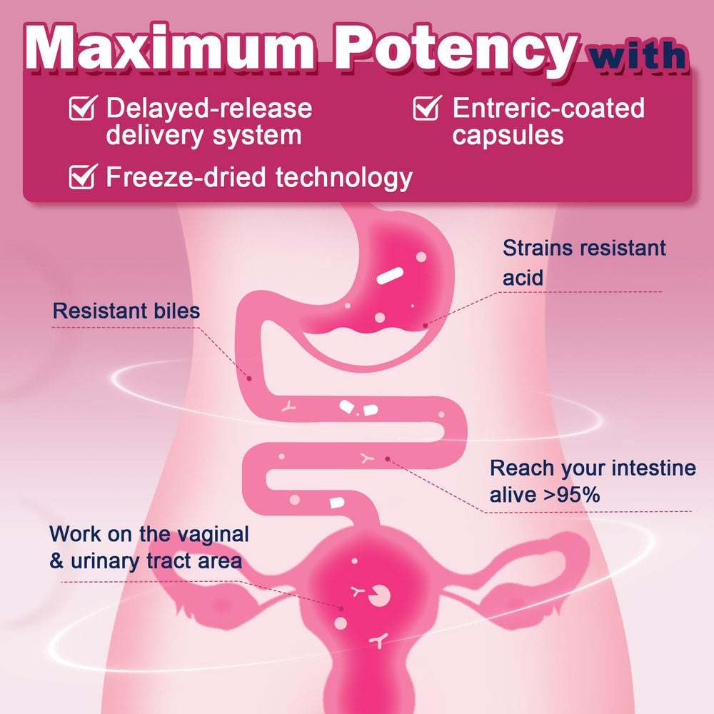 ZEBORA prebiotics FOS and inulin with digestive enzymes support digestive comfort