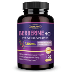ZEBORA Premium Berberine HCl bottle for daily wellness support.