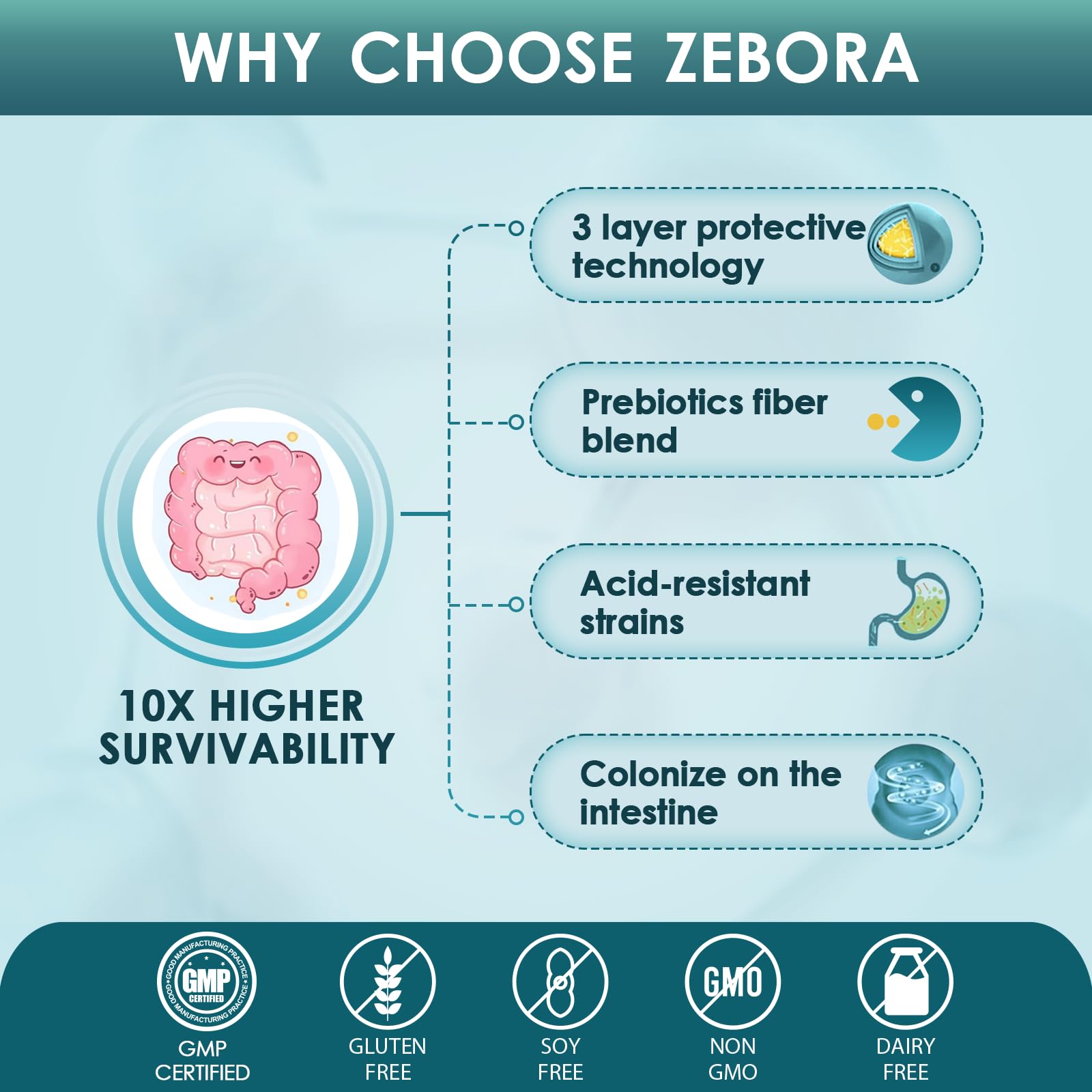 Close-up of ZEBORA Probiotics capsules showing potency