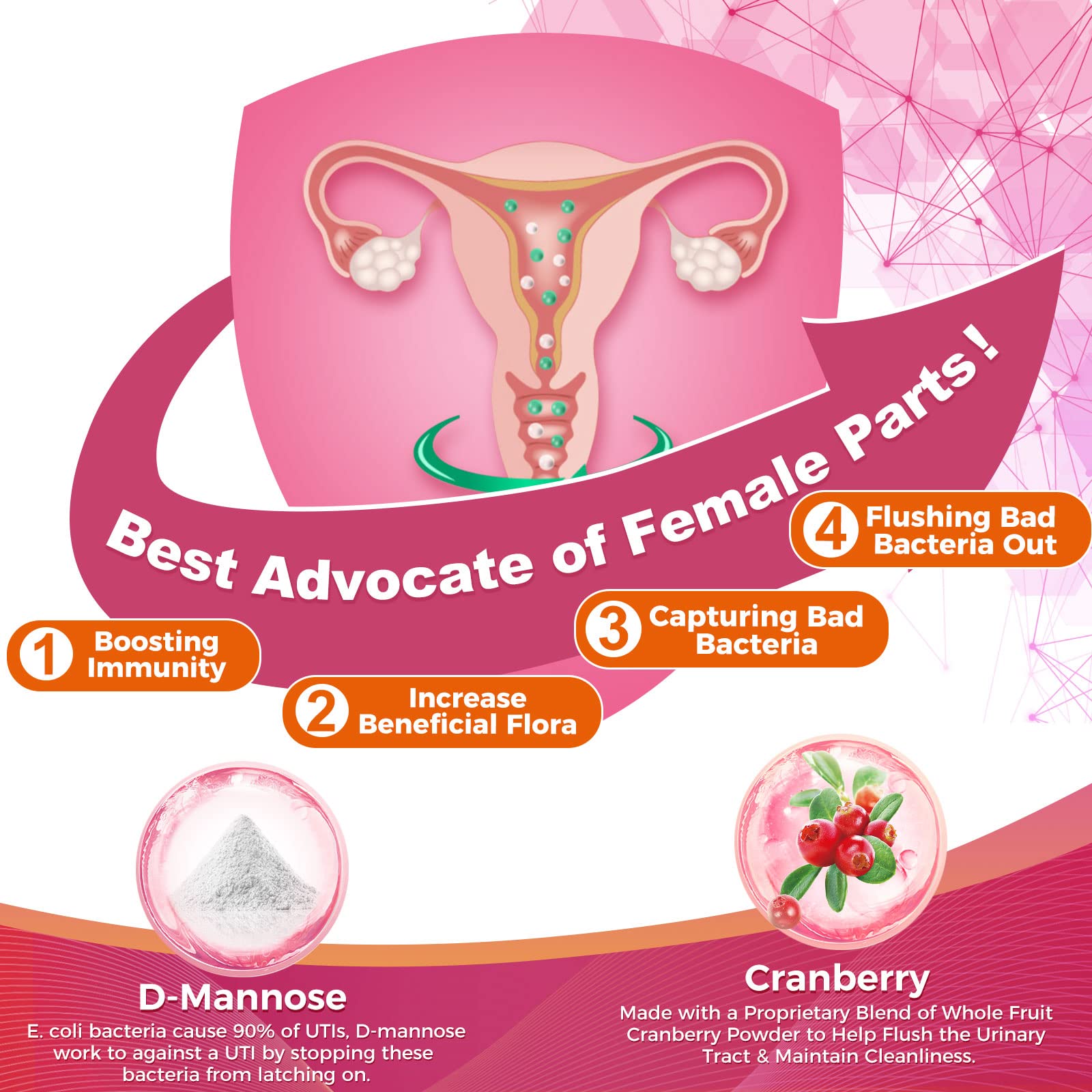 ZEBORA Probiotics Women Cranberry-D-Mannose for urinary tract support