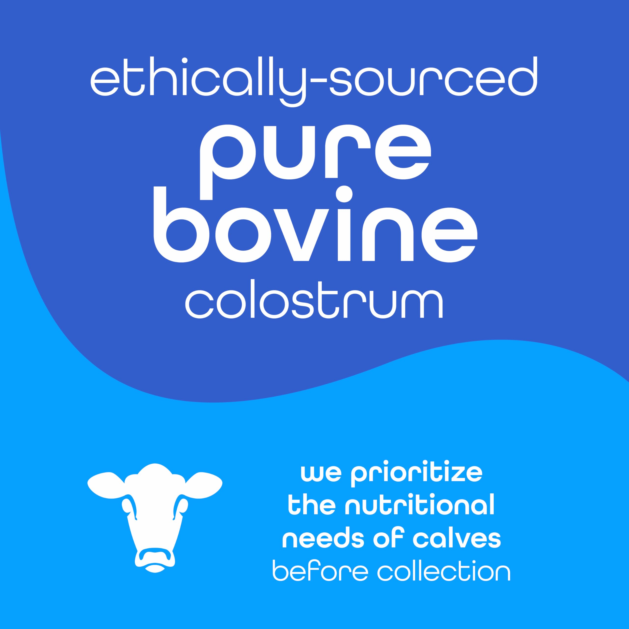 Zena Nutrition colostrum powder mixed into a cold beverage for easy use.