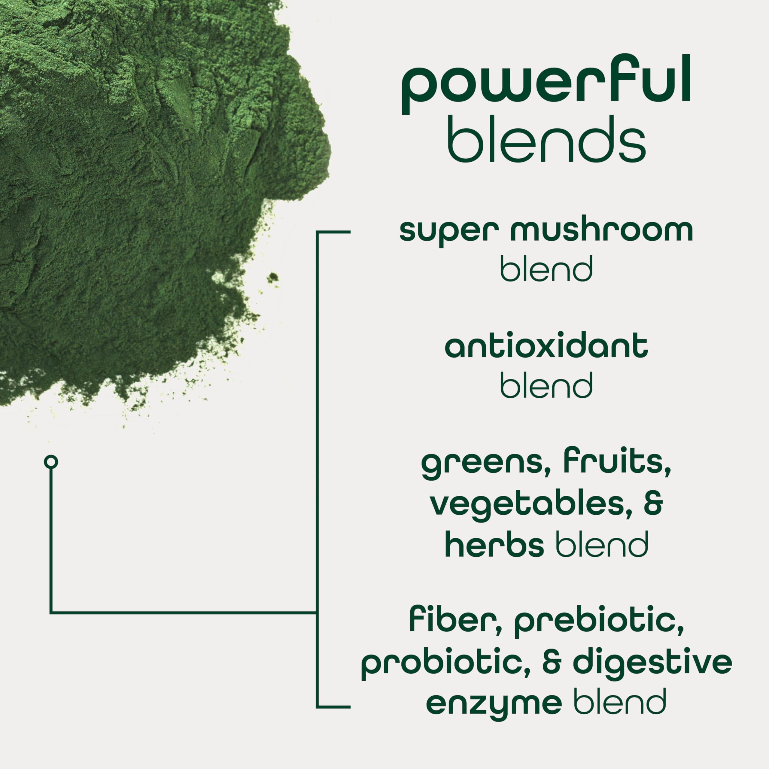 Zena Nutrition organic super greens blend close-up showing greens and powder texture.
