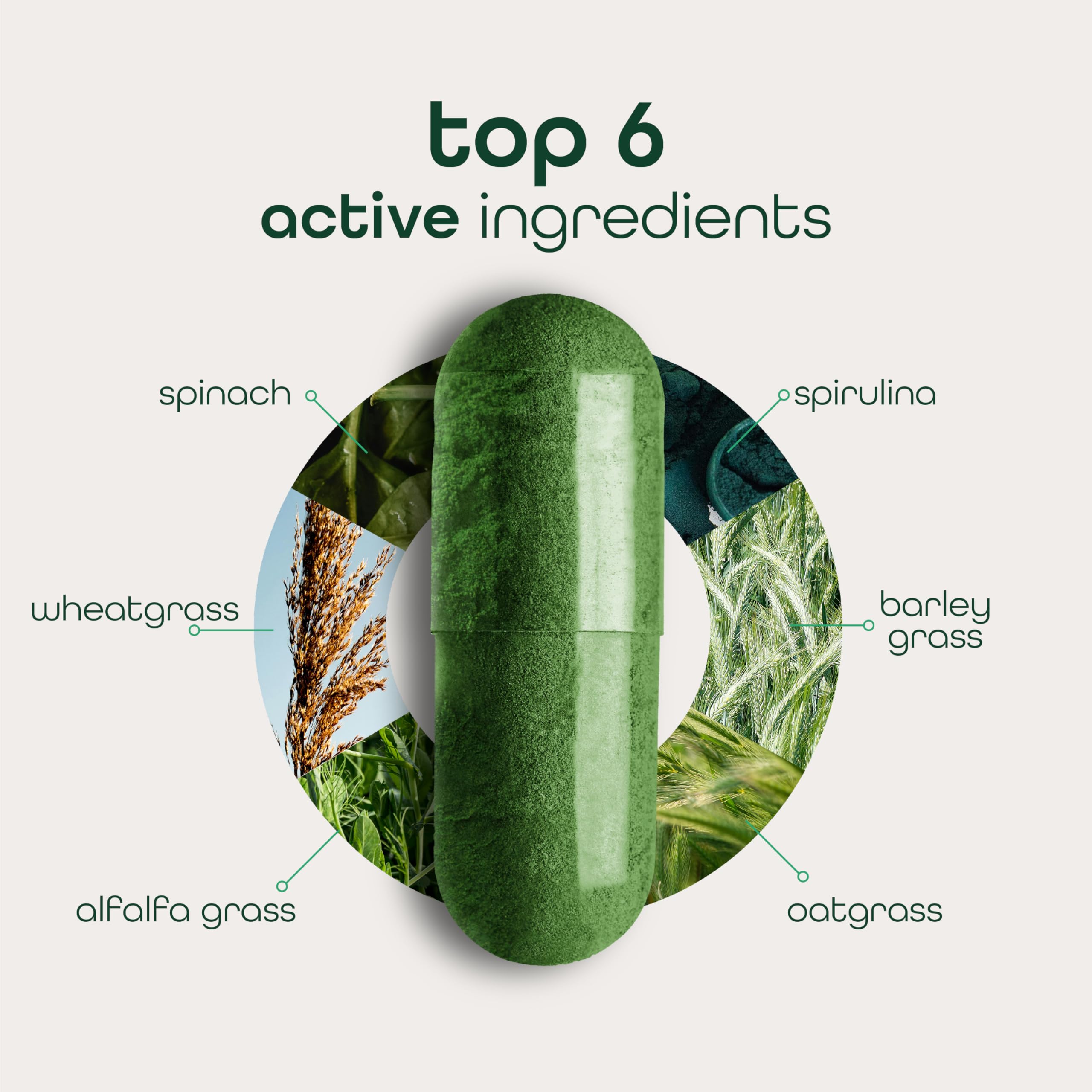 Zena Nutrition Organic Super Greens bottle back showing certifications and clean ingredients.