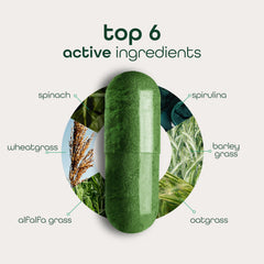 Zena Nutrition Organic Super Greens bottle back showing certifications and clean ingredients.