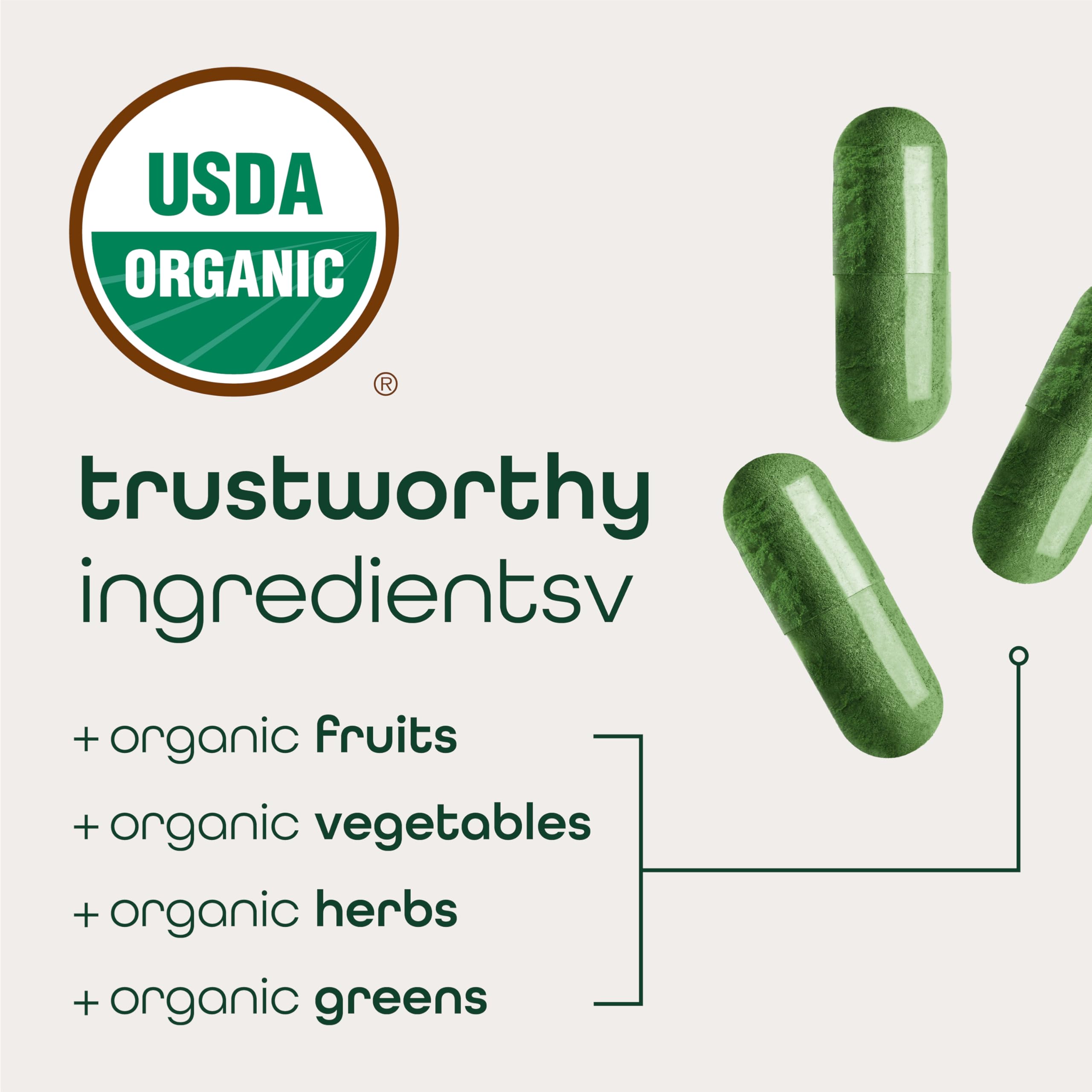 Zena Nutrition Organic Super Greens with prebiotics and probiotics for gut support.