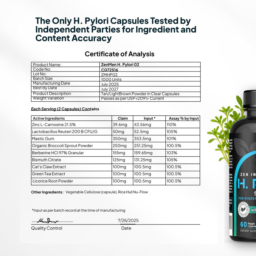 Zenmen H. Pylori Support digestive health scene suggests daily routine