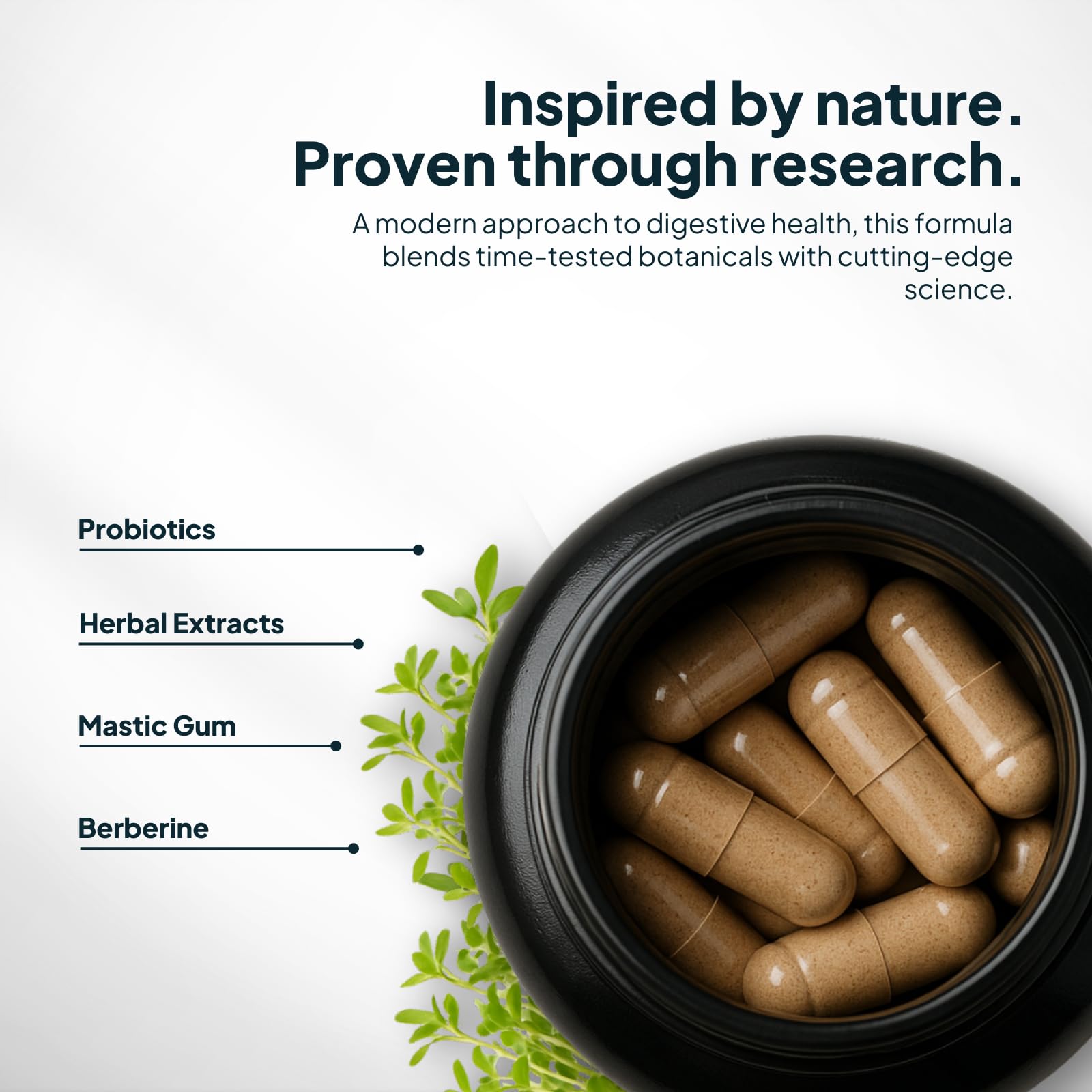 Zenmen H. Pylori Support herbal blend closeup highlights botanicals