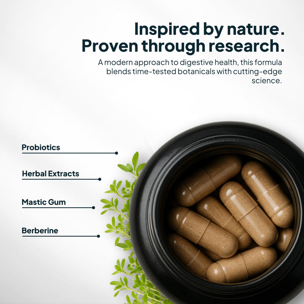 Zenmen H. Pylori Support herbal blend closeup highlights botanicals