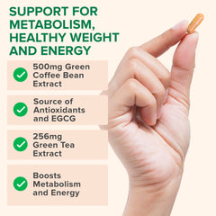 Zenwise Health capsules on white background ready for daily use