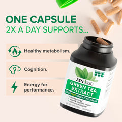 Dosing guidance for Zenwise Green Tea Extract Capsules for consistent energy